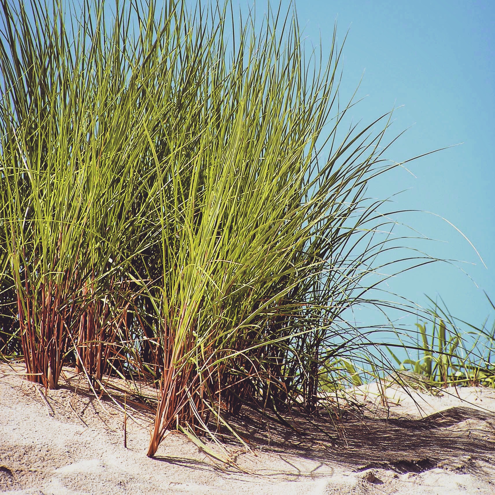 Vormittag am Strand: Swim